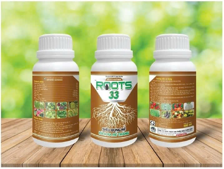 ROOTS 33