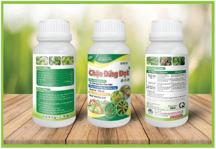 CHẶN ĐỨNG ĐỌT